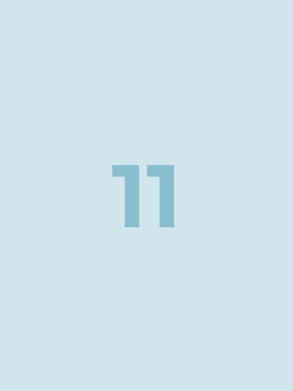 Bundle 11