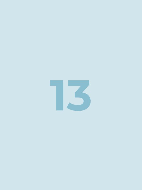 Bundle 13