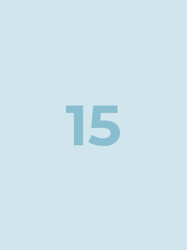 Bundle 15