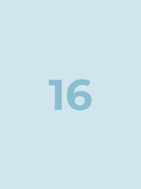 Bundle 16