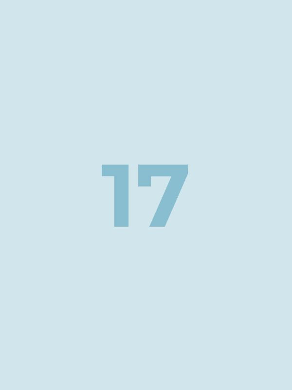 Bundle 17