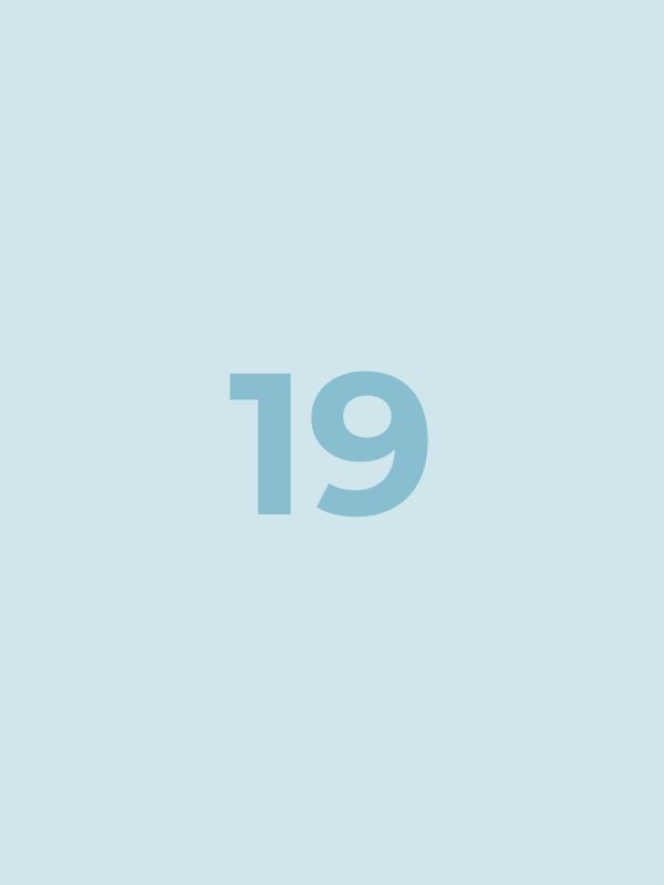 Bundle 19
