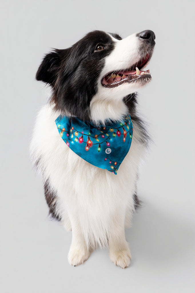 lelosi lelopet bandana catvibe 0